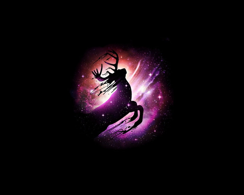 nature, illuminated, invertebrate, dark, rein, stars, studio shot, animals, one animal, pink color, copy space, indoors, creativity, animal wildlife, purple