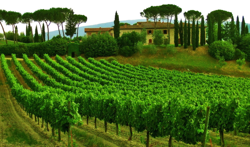sky, 1080P, Tuscany, trees, Italy, house, vineyard
