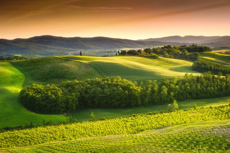 landscape, Tuscany, Italy, green field, trees, Nature, countryside, 4K