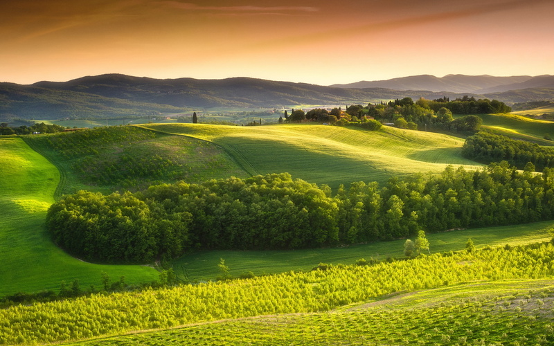Trees, Countryside, Italy, 2K, Green, Sky, Nature, Fields, Tuscany
