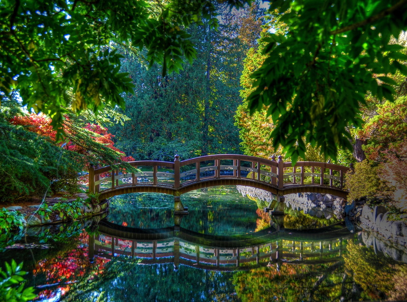 vancouver island, 4K, waterfront, victoria, bridges, bridge - man made structure, nature, parks, reflection, water, tree, beauty in nature, connection