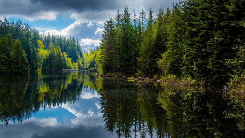 Lake, Columbia, Trees, Canada, Reflection, British, Spring, 1080P