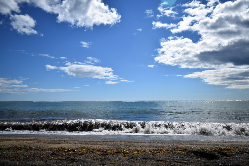 sea, foam, seaweed, beach, landscape, tranquility, Wave, reflection, Sky, shore, seascape, cloud - sky, black, outdoors, motion, breaking, beauty in nature