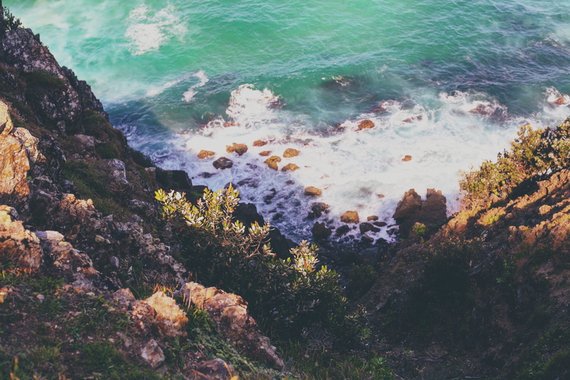 animals in the wild, ocean, day, rocky, shore, 4K, land, outdoors, solid, animal wildlife, rock, crashing, undersea, foamy, rocks, sea, beauty in nature