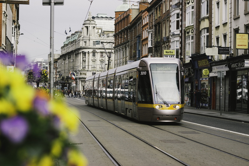 Tramway, land vehicle, flower, public transportation, architecture, train - vehicle, day, cable wires, incidental people, track, public transport, tram lines