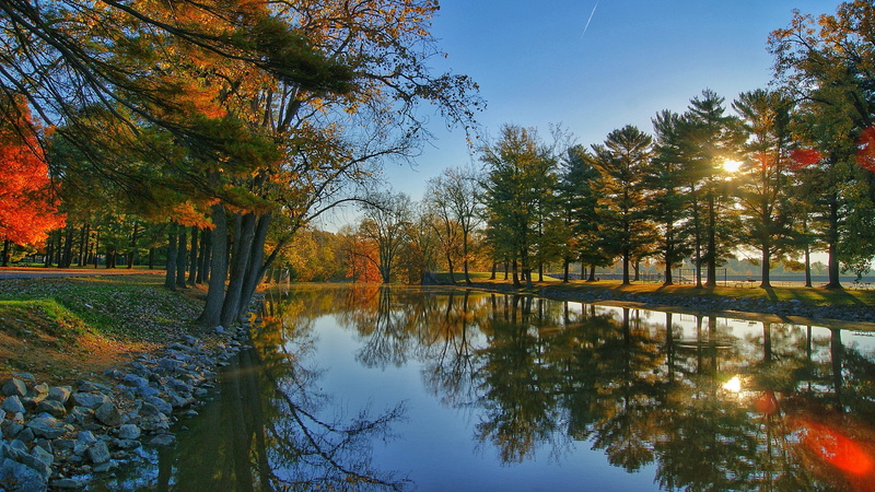 scenics - nature, lakeside, growth, tree, autumn, bank, 4K, sky, tranquility, autumn collection, nature, sunlight, tranquil scene, reflection, no people