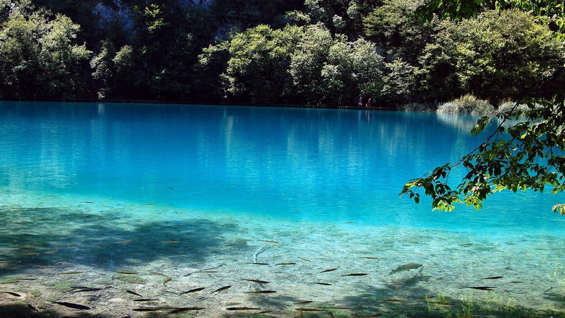 lake, lakeside, beautiful, blue water, 1080P, fishes