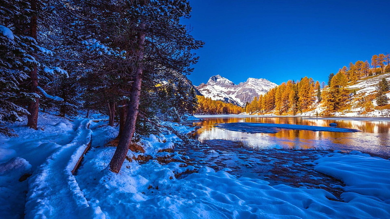ice, palpuogna, europe, beauty in nature, scenics - nature, lakeside, 1080P, freezing, cold temperature, tranquility, tranquil scene, winter, no people