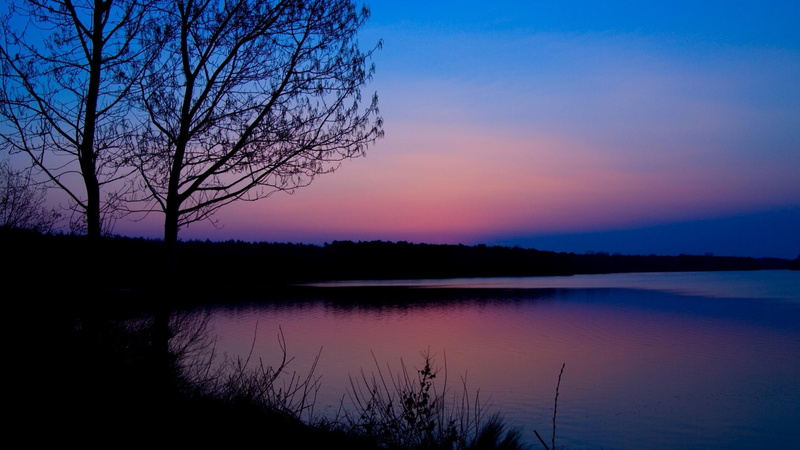 lake, dunk, lakeside, sky, evening, tree, 4K
