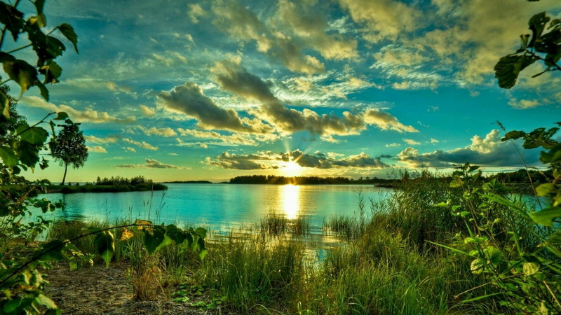 lake, no people, morning, beauty in nature, growth, sky, wetland, 1080P, bank, tranquil scene, lakeside, idyllic, tranquility, tree, nature, sunset, plant