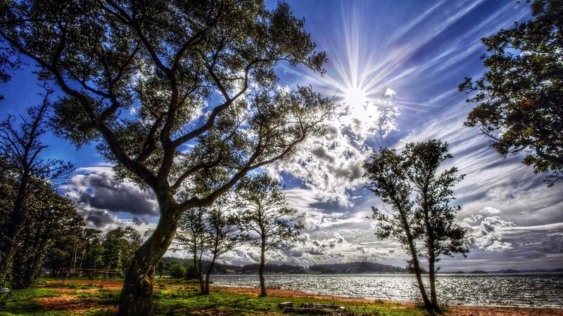 lens flare, lake, lakeside, scenics - nature, outdoors, no people, plant, nature, beauty in nature, rays, tranquility, bright, day, idyllic, sunbeam, view