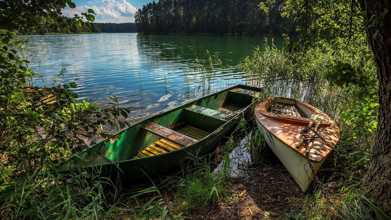 pond, 1080P, boats, lake, plant, water, shore, lakeshore, lakeside, rowing boat, bank, boat