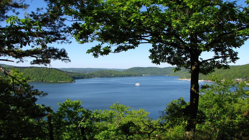 hills, beauty in nature, tranquil scene, branch, sky, 1080P, tree, non-urban scene, land, green color, no people, growth, idyllic, day, sea, lake, lakeside
