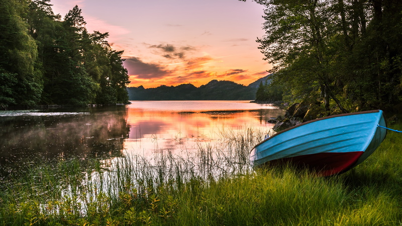tree, boat, waterway, lakeside, 4K, sky, bank, grass, plant, lake, landscape, water