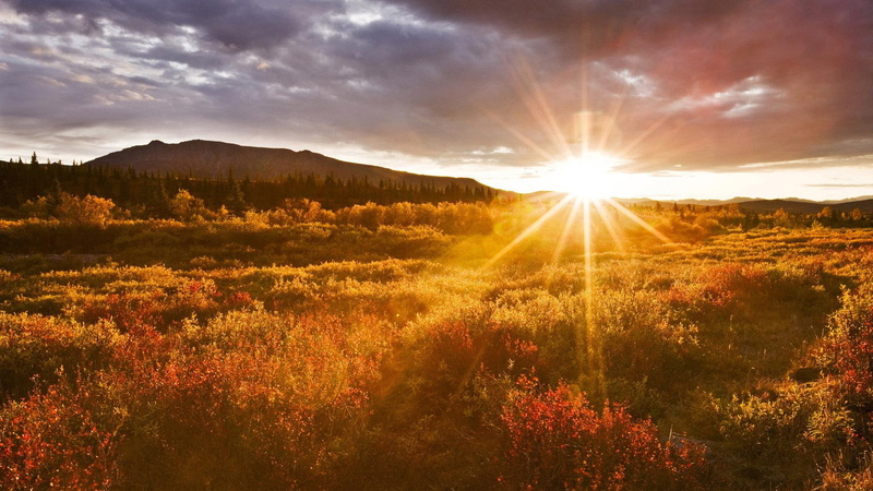 1080P, sky, autumn, sunset, bright, no people, landscape, field, day, outdoors, environment, beauty in nature, nature, sunbeam, lens flare, plant, tree