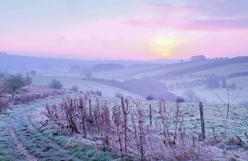 farm, england, exposure, image, Sunrise, english  uk, Gloucestershire, natural  history, Cotswolds, tree, scenics, photograph, british  english, sunrise - Dawn