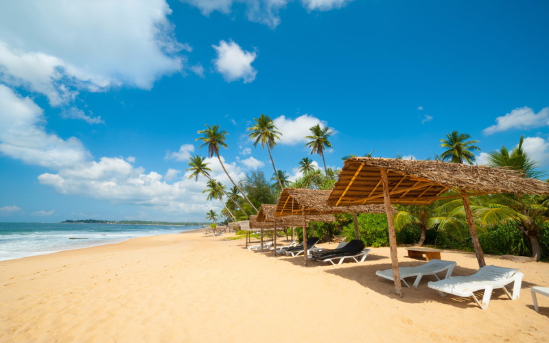 indian, lanka, trees, sandy, hikkaduwa, bengal, beach, waters, sri, beaches, palm, 2K, blue, golden, bay, hd, ocean
