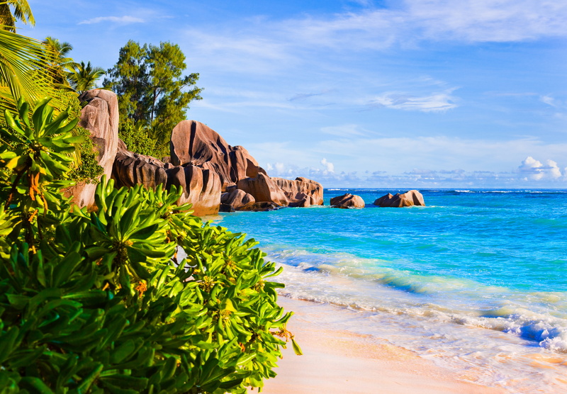 rock, tranquil Scene, mahe Island, tourism, no People, beauty In Nature, solid, plant, scenics, sky, beach, travel Destinations, relaxation, sunny, palm trees