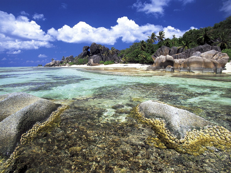 isl, digue, la, island, 720P