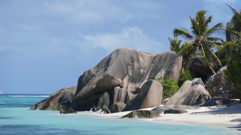 solid, tranquility, nature, beach, tropical climate, palm tree, 5K, granite rock, outdoors, swimming pool, la digue, beauty in nature, tropical, no people