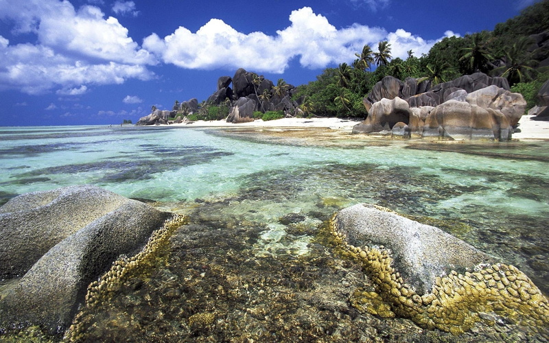 tranquility, day, tropical Climate, coastline, reef, cliff, sky, island, bay Of Water, praslin Island, sand, lagoon, cloud - Sky, nature, reeves, travel Destinations
