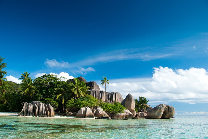 tranquility, brown, tree, the ocean, tranquil Scene, cloud - Sky, Seychelles, vacations, sea, idyllic, sunny, outdoors, 1080P, coastline, plant, bay Of Water