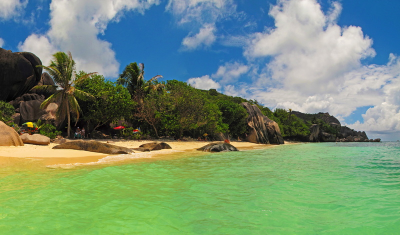 beach, 4K, brown, day, nature, palm trees, the Indian ocean, rock - object, sea, green, coconut, idyllic, scenics - nature, island, lagoon, coast, plant