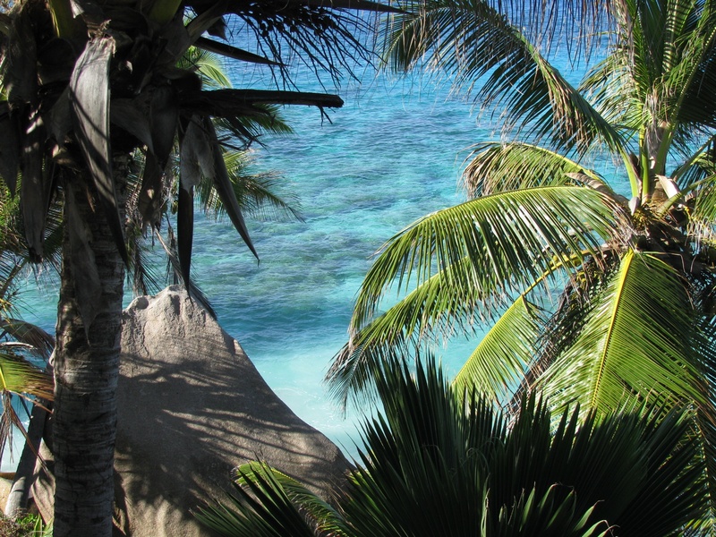 leaves, plant part, green color, outdoors, sky, beauty in nature, near, daytime, sea, leaf, tree, no people, indian ocean, scenics - nature, holiday, coconut palm tree