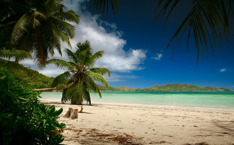 720P, tropical, landscape, sky, summer, sea, palm trees, beach, hills, nature, photography, Seychelles, island, blue, sand