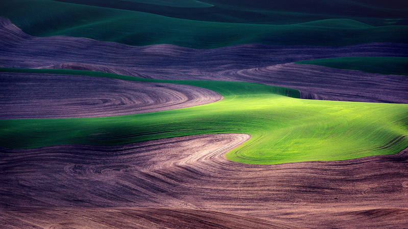 USA, nature, Palouse, grass, field, Washington, farm, 1080P, landscape