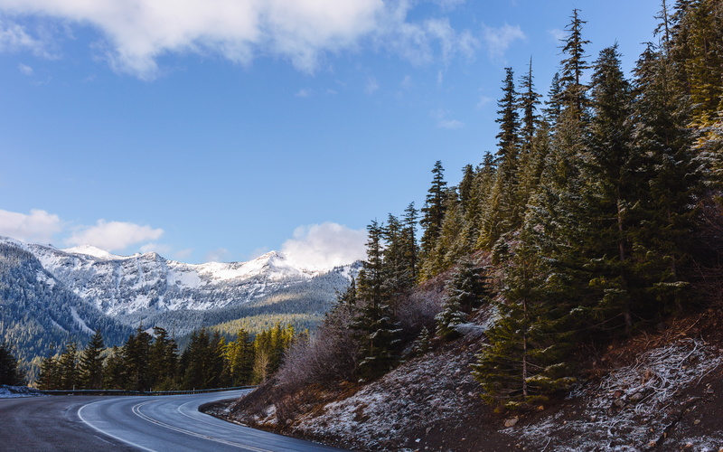 ISO, scenics, forest, westrock, scenery, Mt. Rainier National Park, outdoors, 35mm, mountain, landscape, pine trees, F1.4, beside, tree, white, Dual, ART