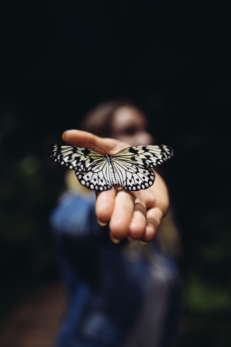 dark, detail, adult, outdoors, young Adult, caucasian Ethnicity, hand, elegance, people, summer, animal, holding, lifestyles, human Hand, fashion, butterfly - Insect