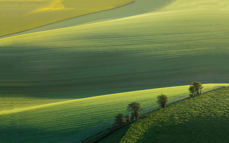 1080P, trees, endless, man sprinkle sun, vast, sun, the vast, sprinkle, man, sunshine, prairie, boundless