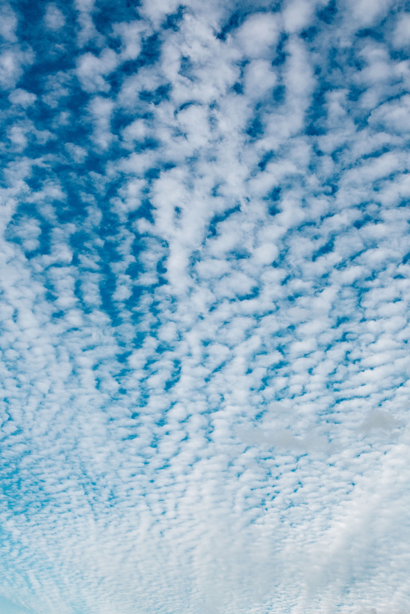 sky, cloud - sky, backgrounds, outdoors, heaven, low angle view, 4K, no people, fluffy, idyllic, cloud, beauty in nature, cloudscape, vast, clouds, softness