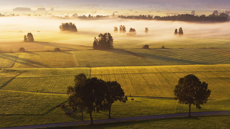 natural, lscape, vast, landscape, sun rays, nature, mist, fields, 1080P, sun shine, grass, mystical, trees, natur, beautiful