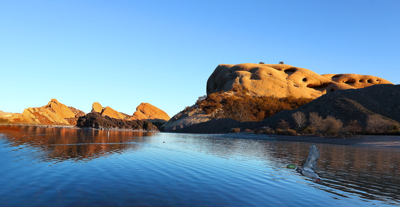rounded, blue water, blue sky, morning, high desert, oasis, photos, beautiful lake, bird in flight, weather, bueno, ducks, american, reflecting, perfect
