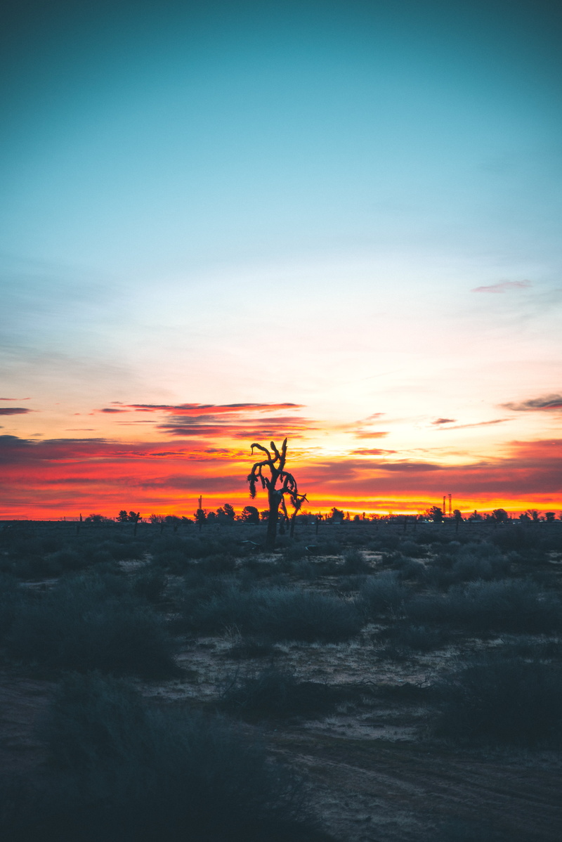 5K, sunset, idyllic, mountains, wanderlust, beauty in nature, tree, field, no people, united states, moody, tranquil scene, plant, sky, silhouette