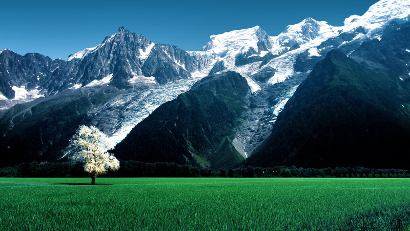 glacier, environment, bossons glacier, grassland, scenics - nature, land, chamonix valley, no people, outdoors, field, green color, grass, mountainous landforms