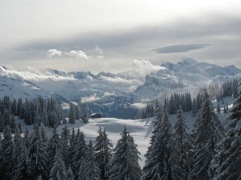 snow, sky, 2K, cold, no People, outdoors, ice, non-Urban Scene, forest, mountain, scenics, travel, mountain Range, french alp, tree, nature, wanderlust