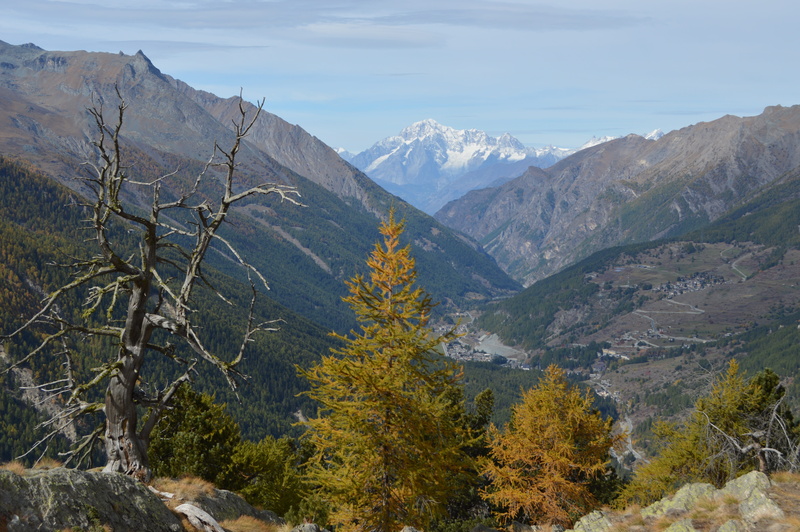sky, idyllic, mountain range, mountain, land, nature parks, tranquil scene, non-urban scene, mont blanc, formation, scenics - nature, landscape, growth