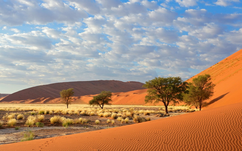 namib, beauty in nature, non-urban scene, day, namibia, tranquil scene, 2K, plant, tree, scenics - nature, naukluft, remote, sky, sand dune, desert, environment