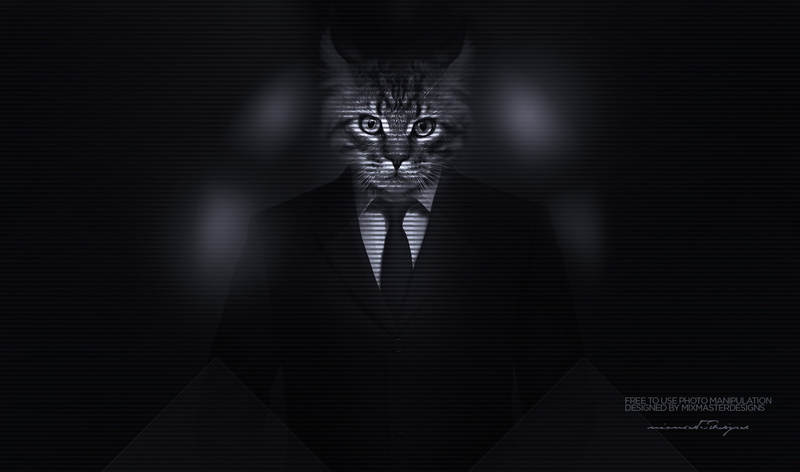 1080P, suits, cat, men, classy, majestic casual (channel), Kitty, big cats, photo manipulation