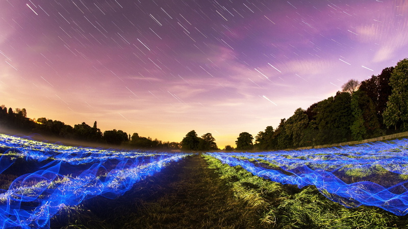 long exposure, landscape, star - space, space and astronomy, no people, scenics - nature, tranquil scene, trees, land, plant, plants, clouds, night, environment