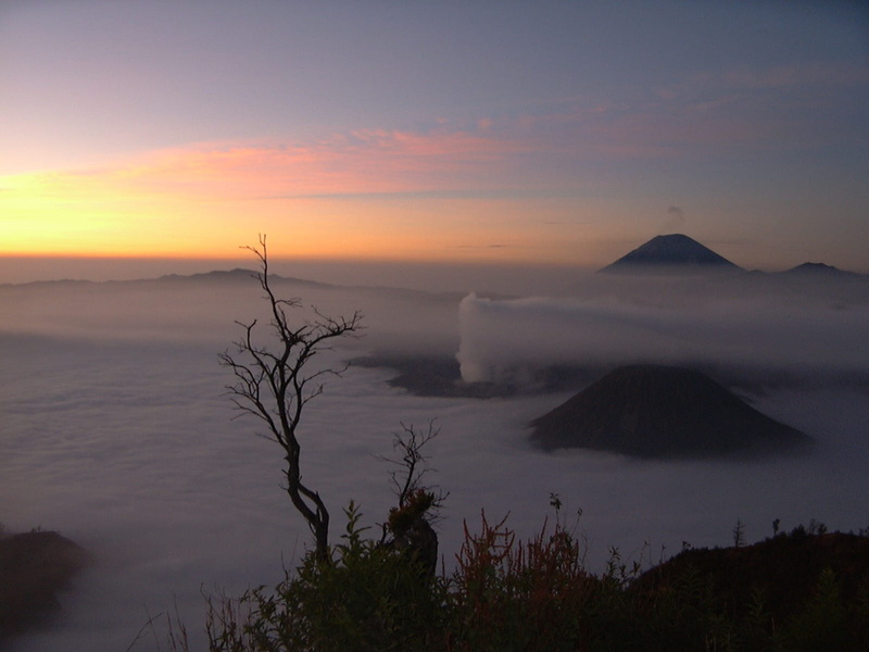 tranquility, nature, Sun, sky, cloud - sky, environment, 720P, travel destinations, Mount, outdoors, scenics - nature, land, Bromo, plant, in, landscape