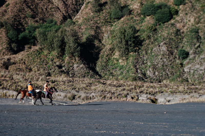 growth, nature, people, walking, group of people, lifestyles, full length, plant, mount bromo, men, women, malang, real people, adult, leisure activity