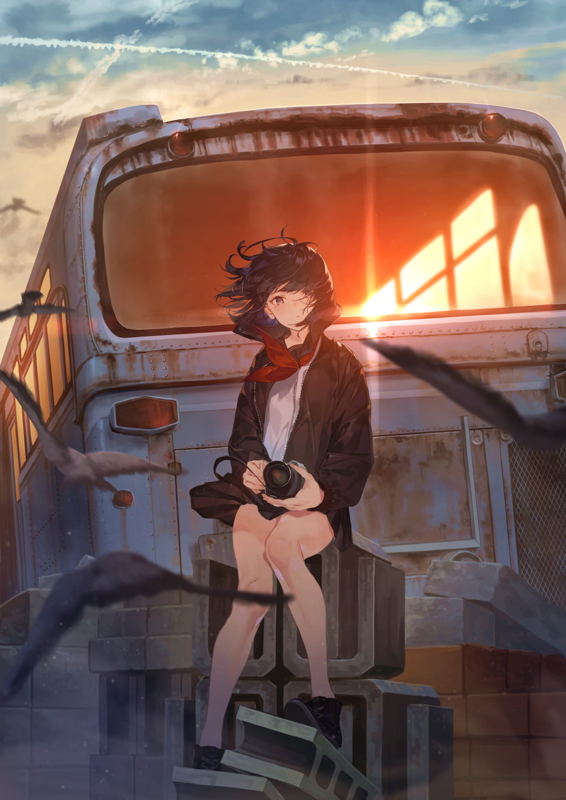 hairstyle, nature, lifestyles, anime girls, jacket, shirt, vehicle, sitting, fashion, beautiful woman, buses, birds, skirt, glasses, camera, one person