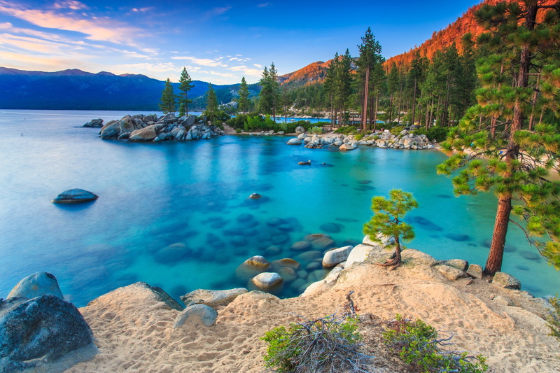 sea, sky, pine tree, tranquility, scenics - nature, rock, plant, no people, water, rock - object, beauty in nature, blue, travel destinations, land, coniferous tree