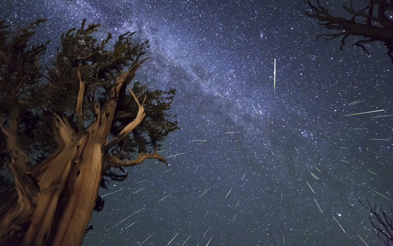 perseids backgrounds, meteor shower, bristlecone, meteors, 4K, download 3840x2400 meteors