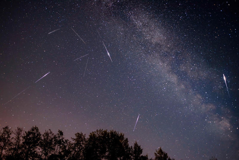 constellation, star, landscape, glowing, drop, moon, low angle view, nature, plant, star Field, astronomy Telescope, sagittarius, asteroid, beauty in nature