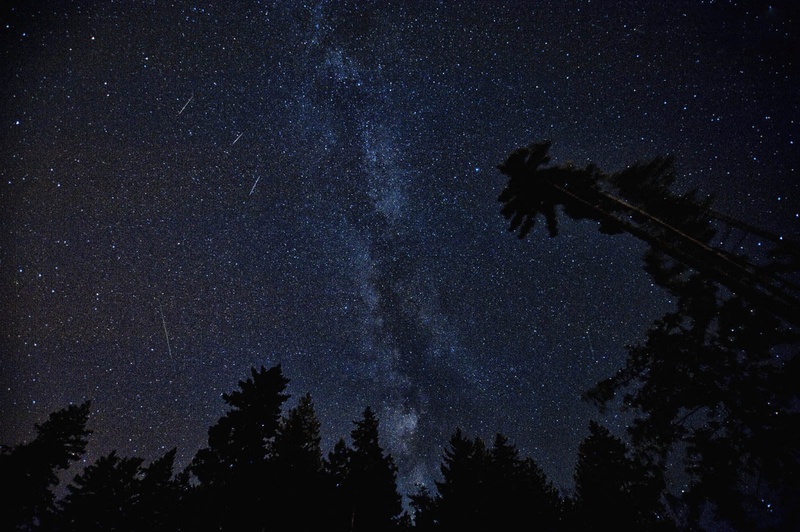 space and astronomy, 1080P, tranquil scene, worm, eye, s, forest, nebula, silhouette, milky Way, perseids, starry, infinity, dark, universe, constellation